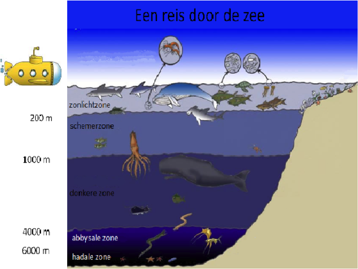De Oceaanbodem at emaze Presentation