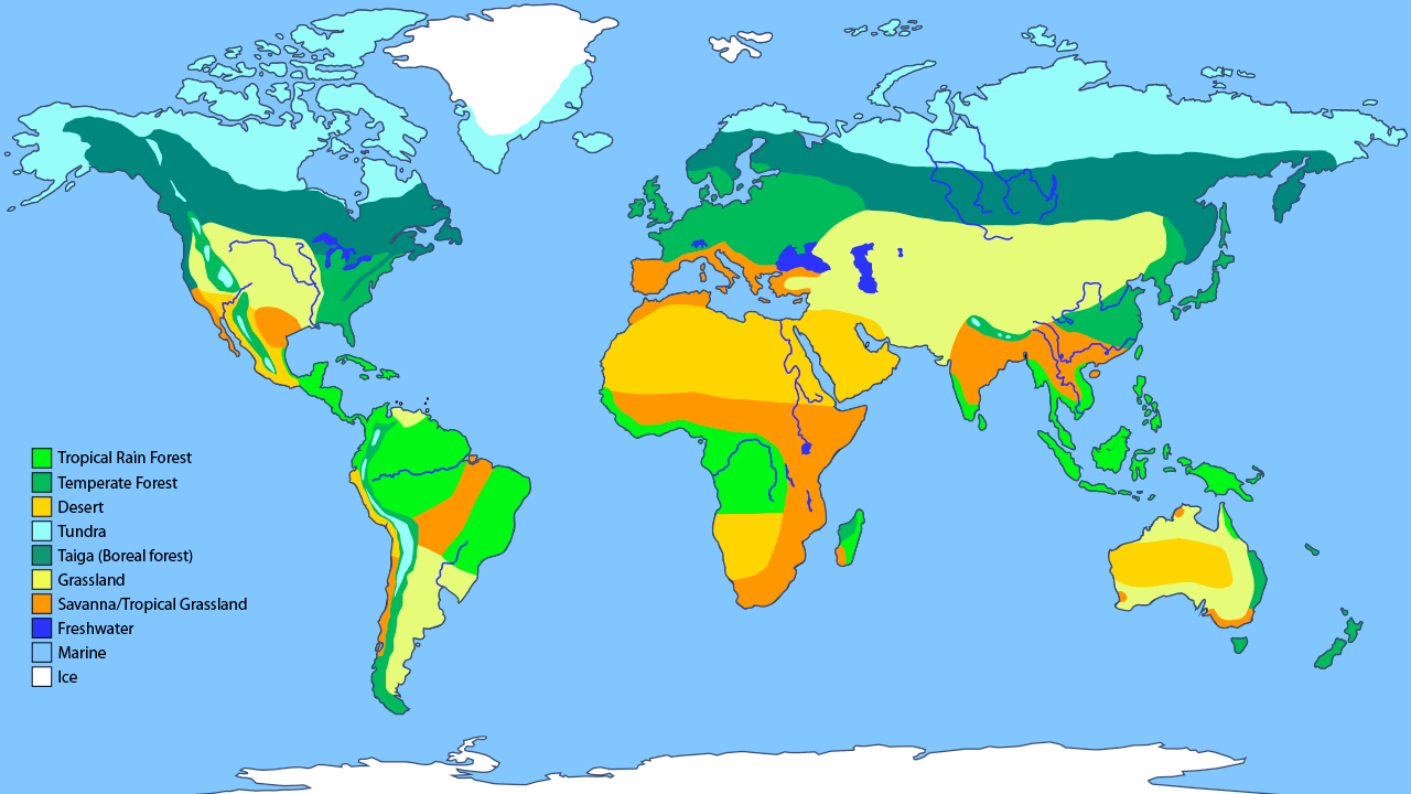 Worksheets North American Biomes Worksheet biome project on emaze