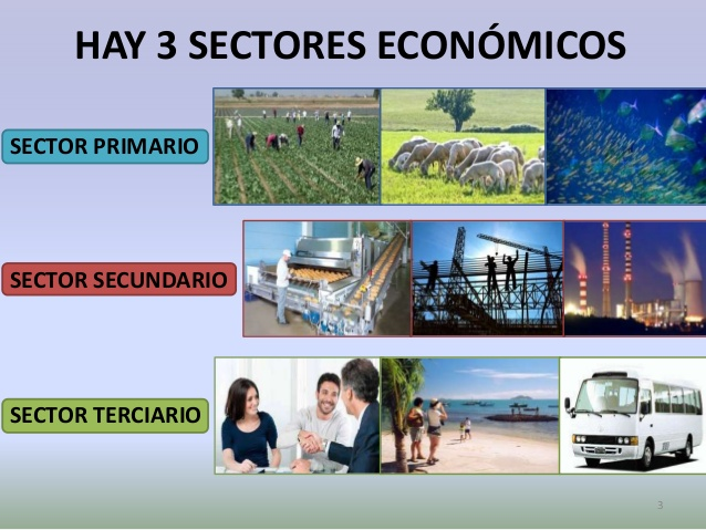 Sectores Económicos At Emaze Presentation