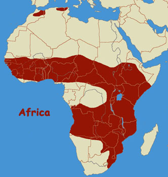 J.F. Servalis on emaze