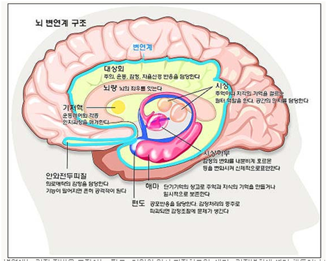 습관의 힘.pptx on emaze