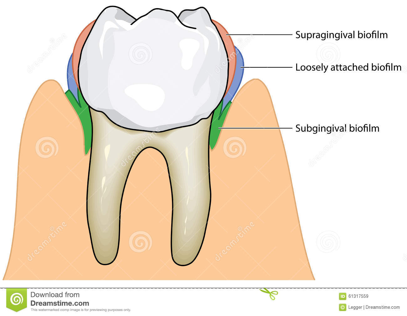 periodontology-on-emaze