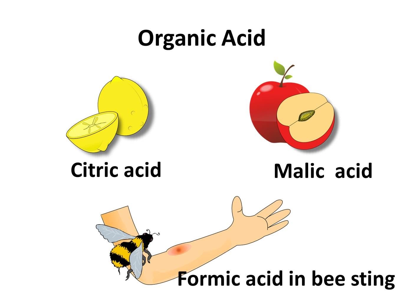 Base english. Science acid. Acids and Bases examples. Acid_is_Life приват.