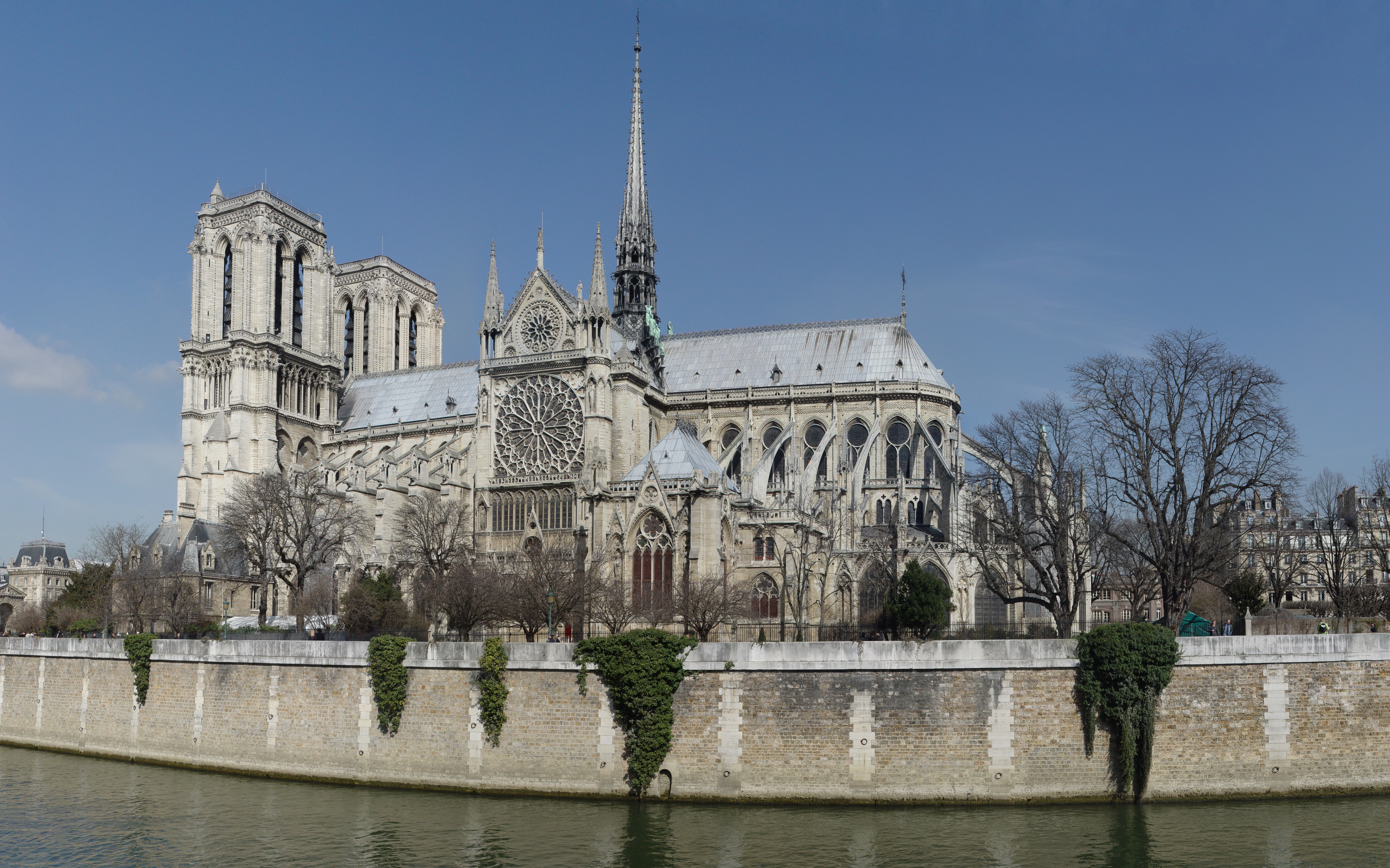 Фото собора парижской богоматери фото