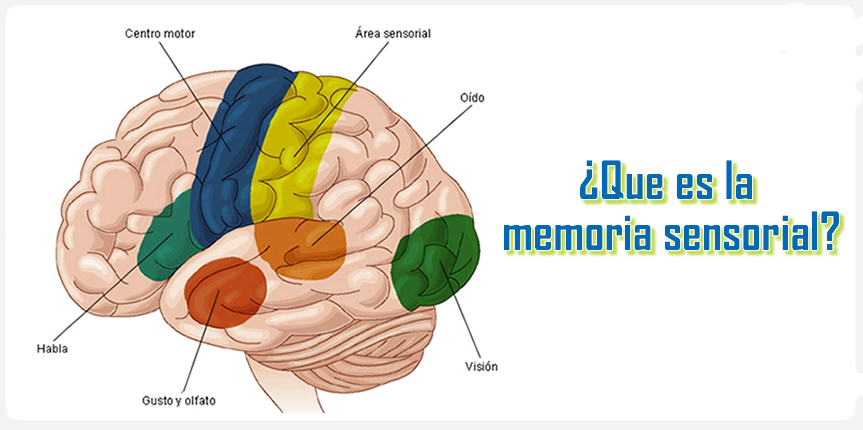 Como hacer la memoria de un proyecto