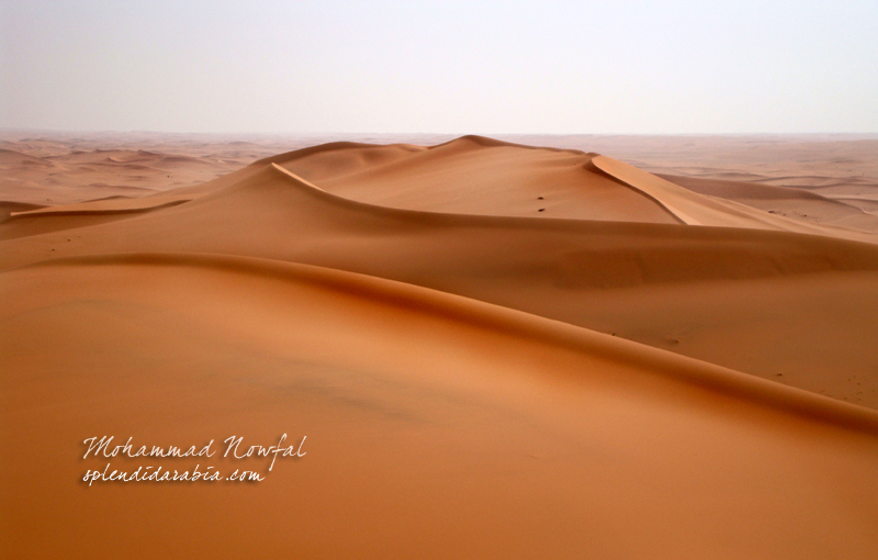 Arabian Sand Goggles