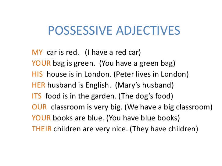 Para que se usa el possessive adjectives