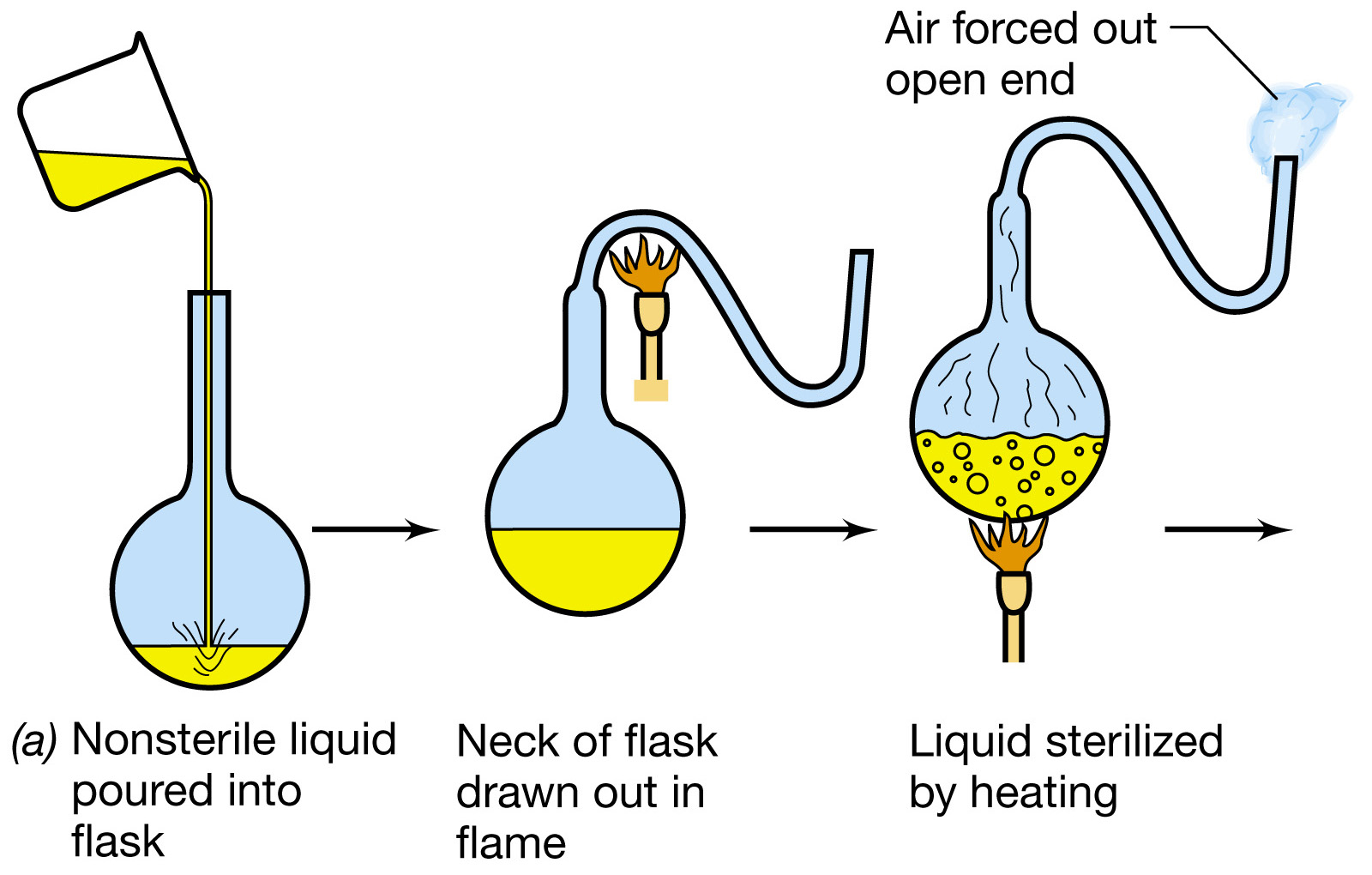 Flask methods. Фреймворк Flask. Flask принцип работы. Swan Neck Flask.