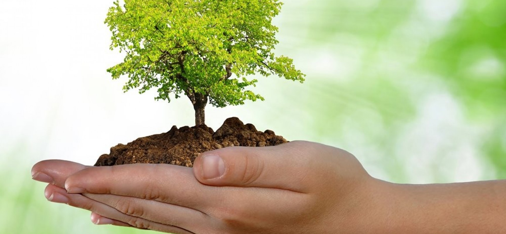 Resultado de imagen para MEDIO AMBIENTE