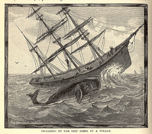 the Essex, an American whaling ship built in 1799