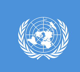 Оон 13. Конвенция ООН О правах инвалидов. Конвенция ООН О правах инвалидов 2006 г. Конвенция ООН О правах инвалидов книга.