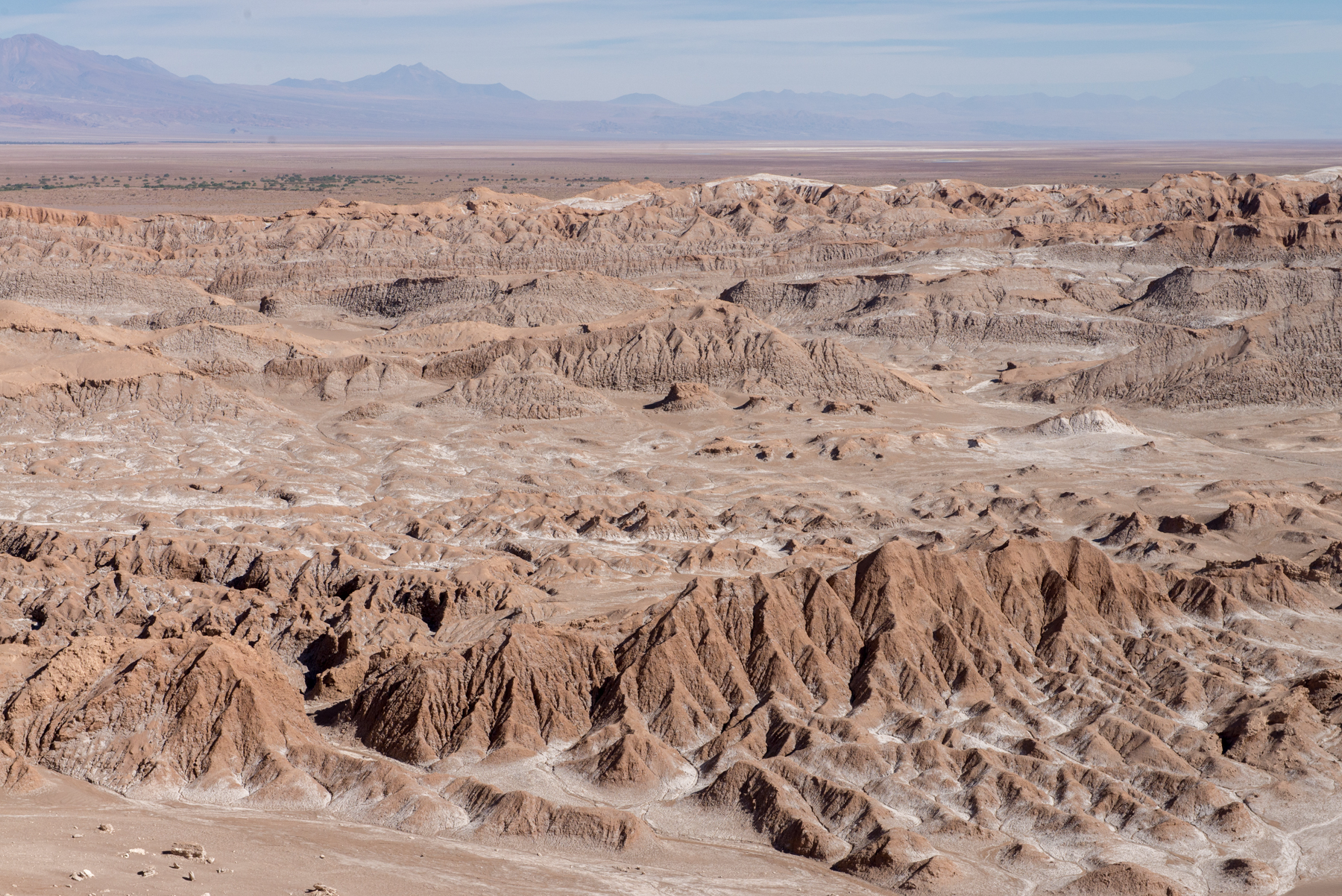 Образование пустыни атакама на западном побережье. Чили пустыня Атакама. Рельеф пустыни Атакама. Атакама Песчаная пустыня. Впадина Атакама.