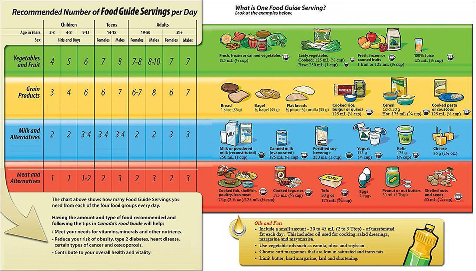 Guide AlimentaireBy Eduardo on emaze