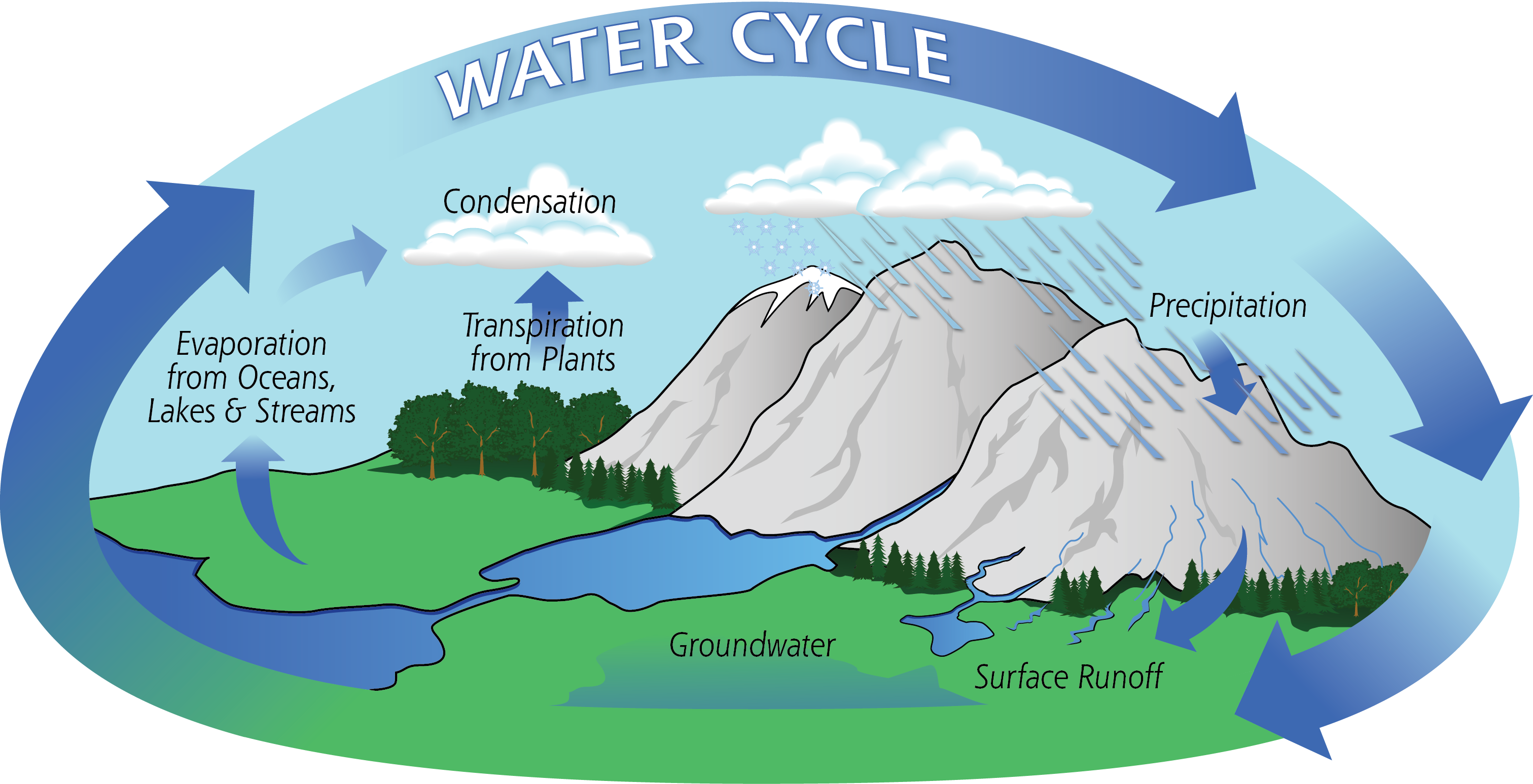 What Is The Water Cycle For 5th Grade