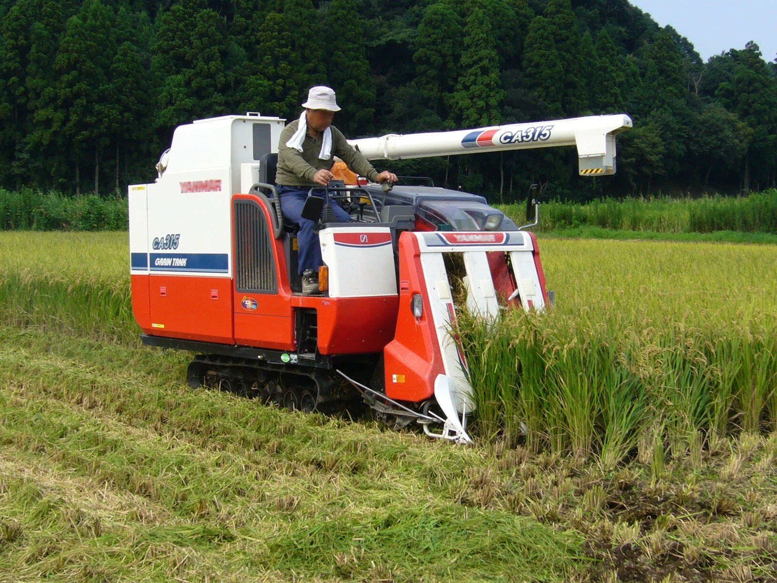 RICE at emaze Presentation