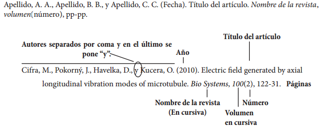 Bibliografia apa paginas web