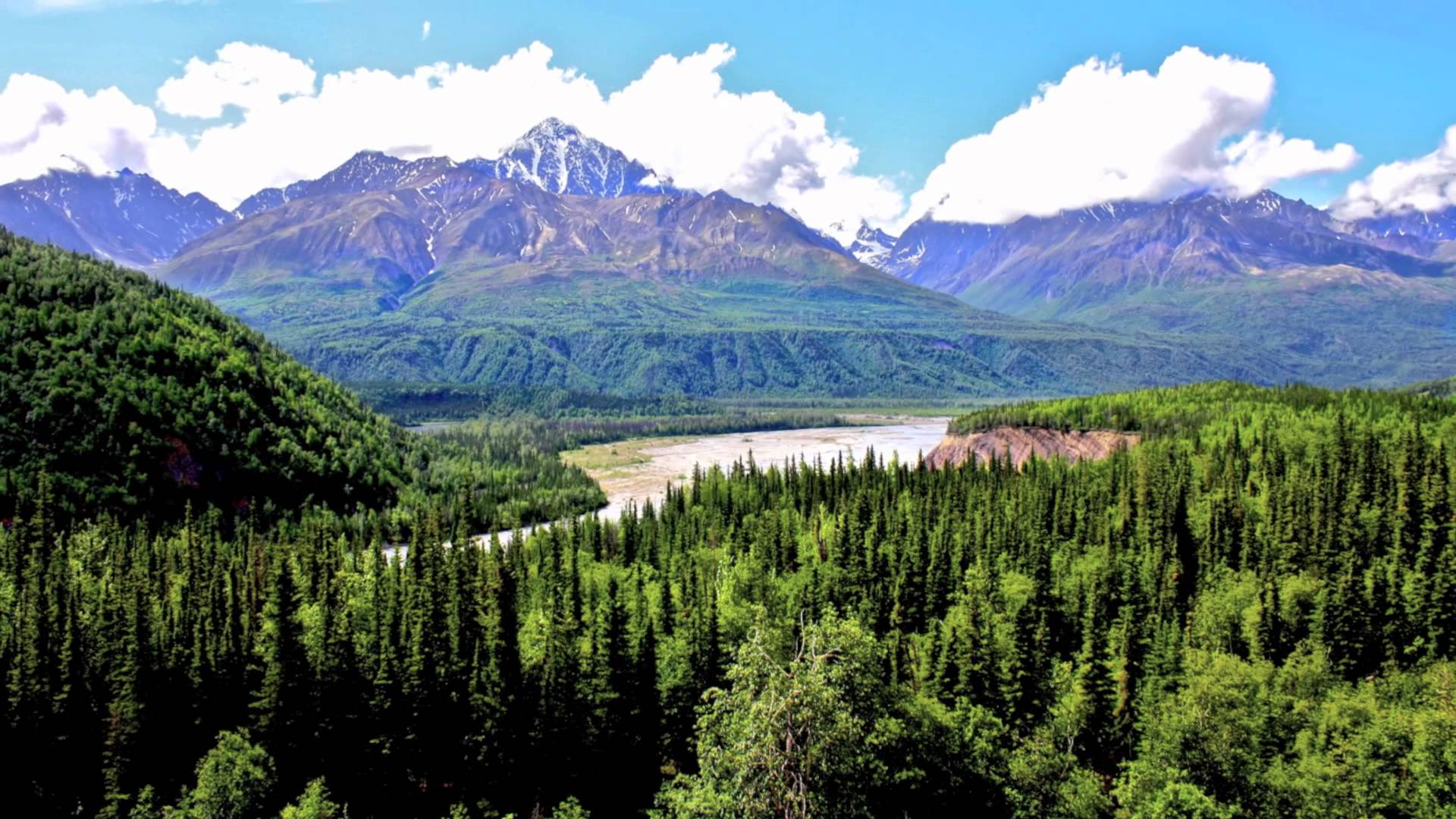 аляска штат сша города анкоридж. аляская. аляска америка. национальный парк аляска цветы. аляская.
