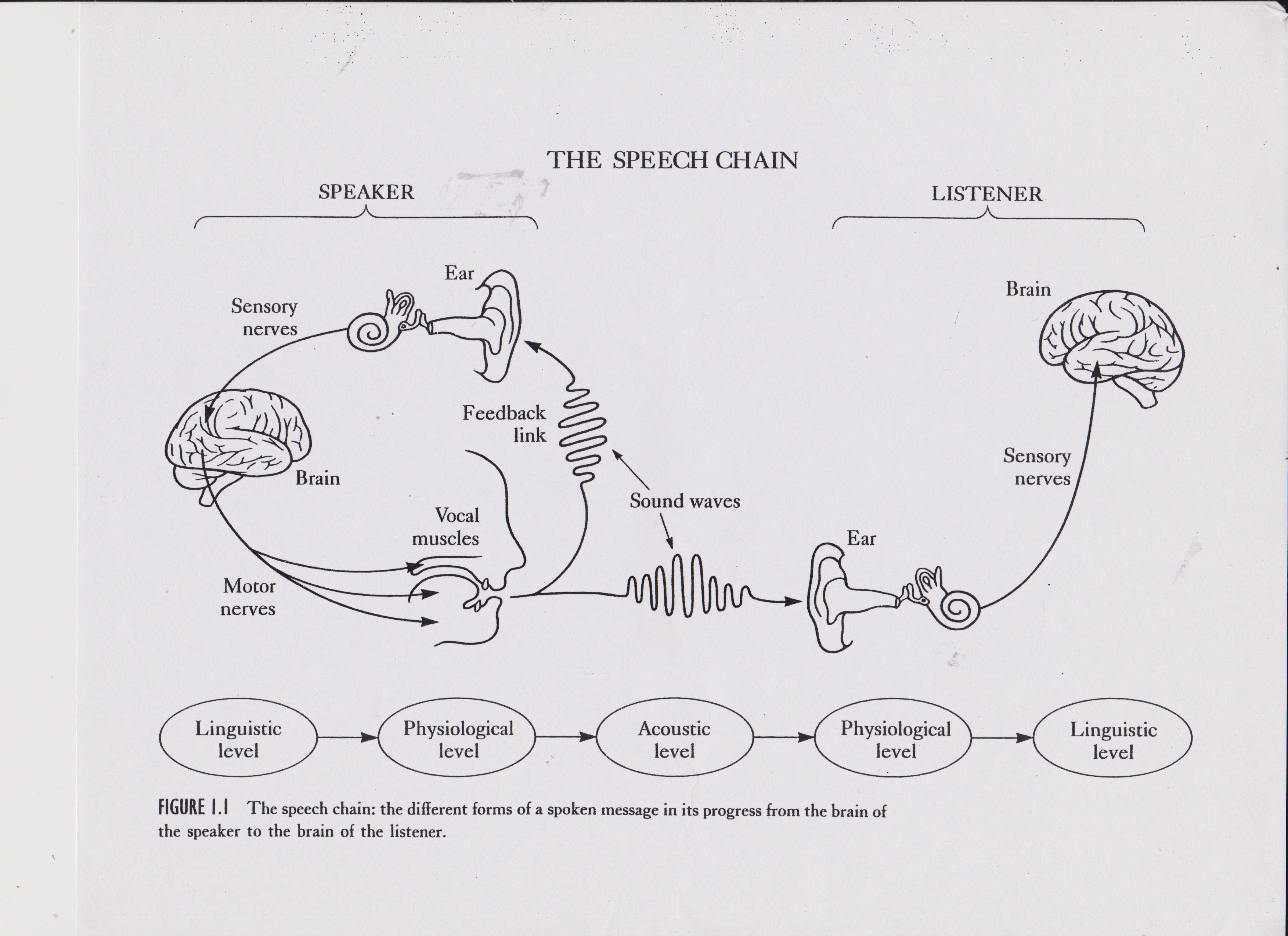 1 listen to the speaker