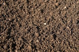 mud.pptx at emaze Presentation