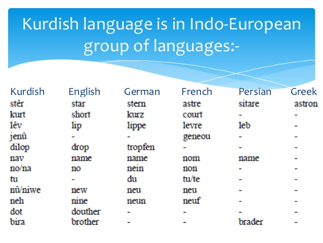 Language naming. Kurdish language. Курдский язык семья и группа. Lexical borrowings. Курды языковые семьи.