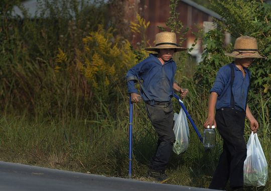 Amish at emaze Presentation