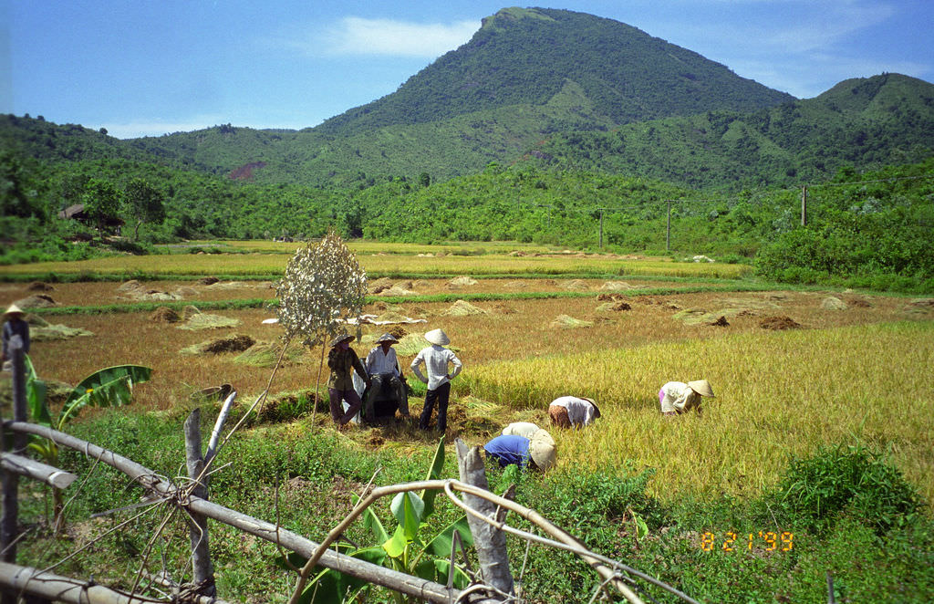 Farming in another