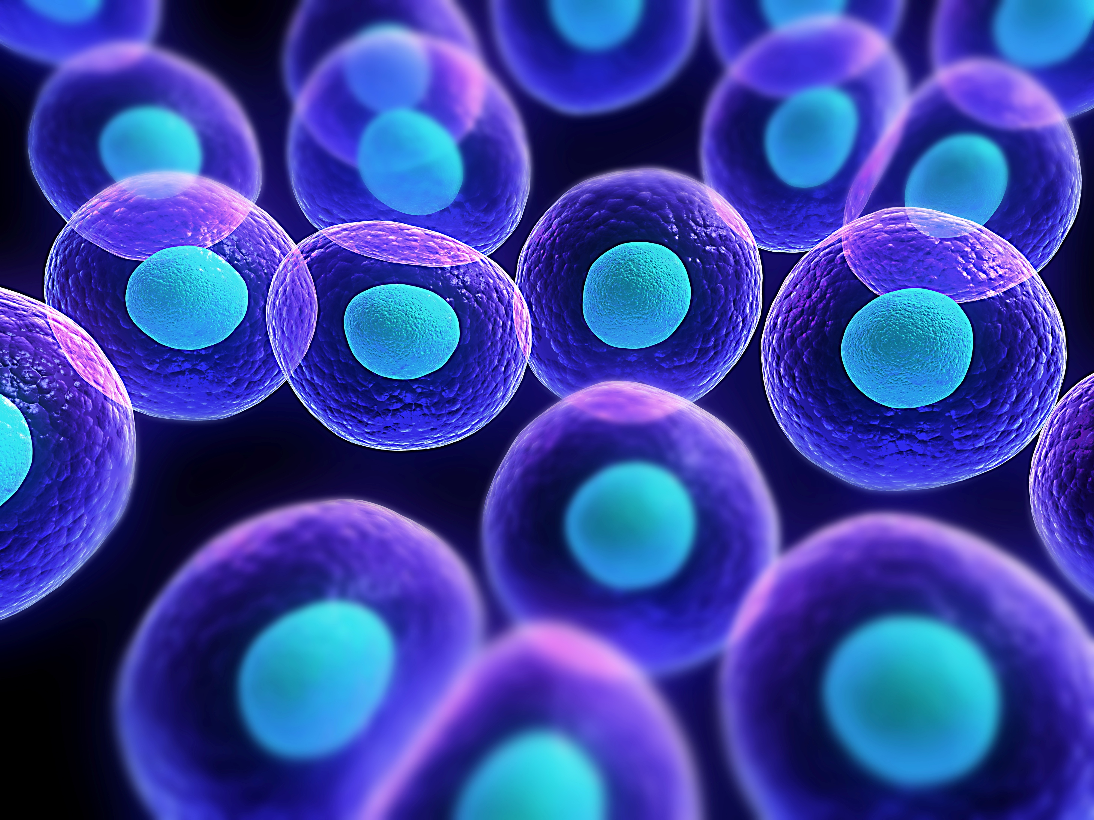 the cell theory at emaze Presentation the cell theory at emaze Presentation