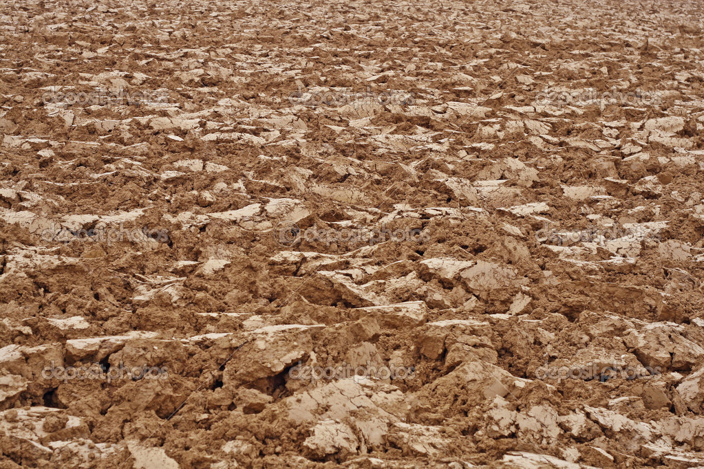 tipos de suelo on emaze