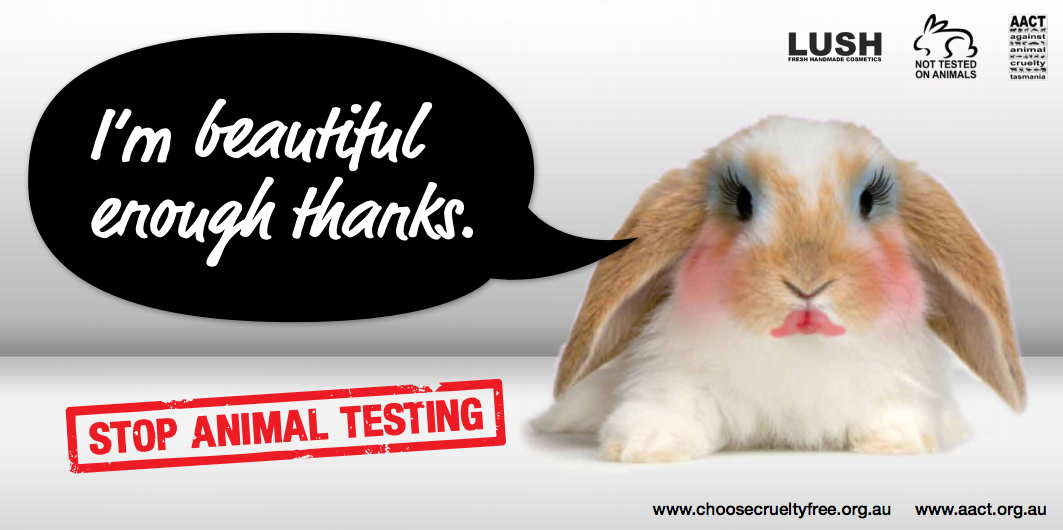 Animals Against Cosmetics (with images) · katrinaberridge · Storify
