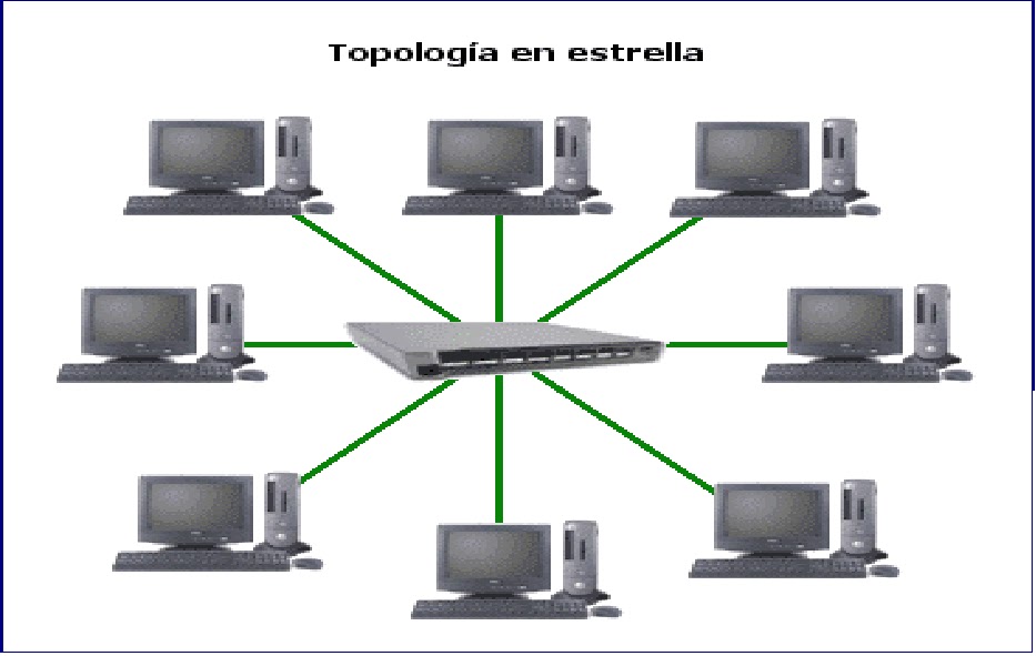 topologia