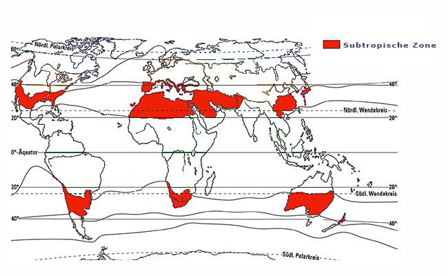 Карта субтропиков мира