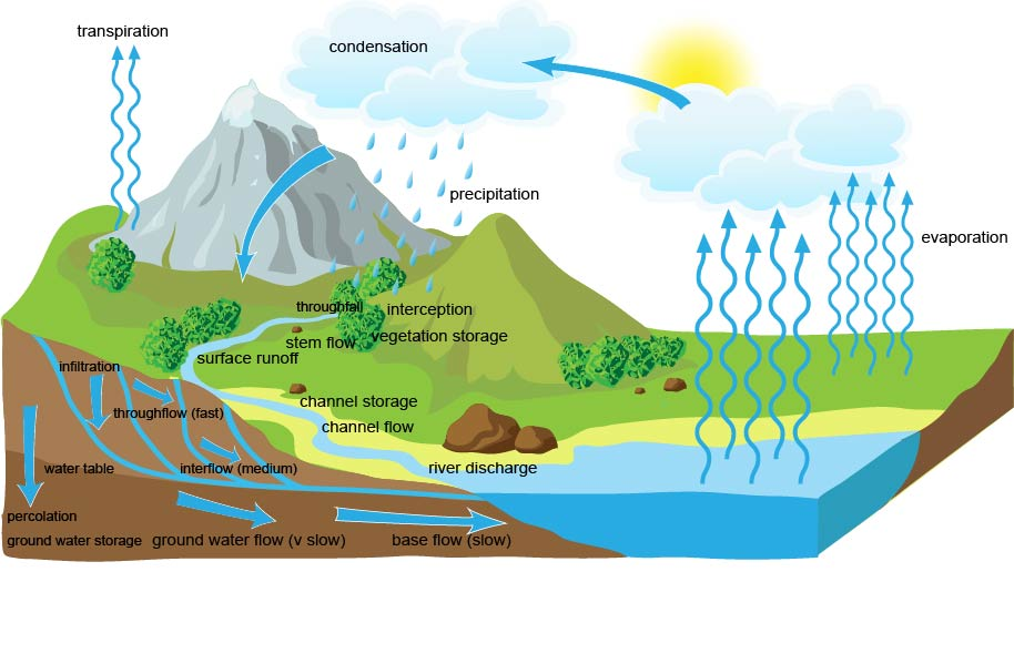 hydrological processes geography