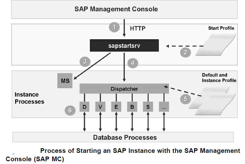 What Is Sapcontrol Sapstartsrv Process? – KRKRB