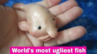blobfish squishy