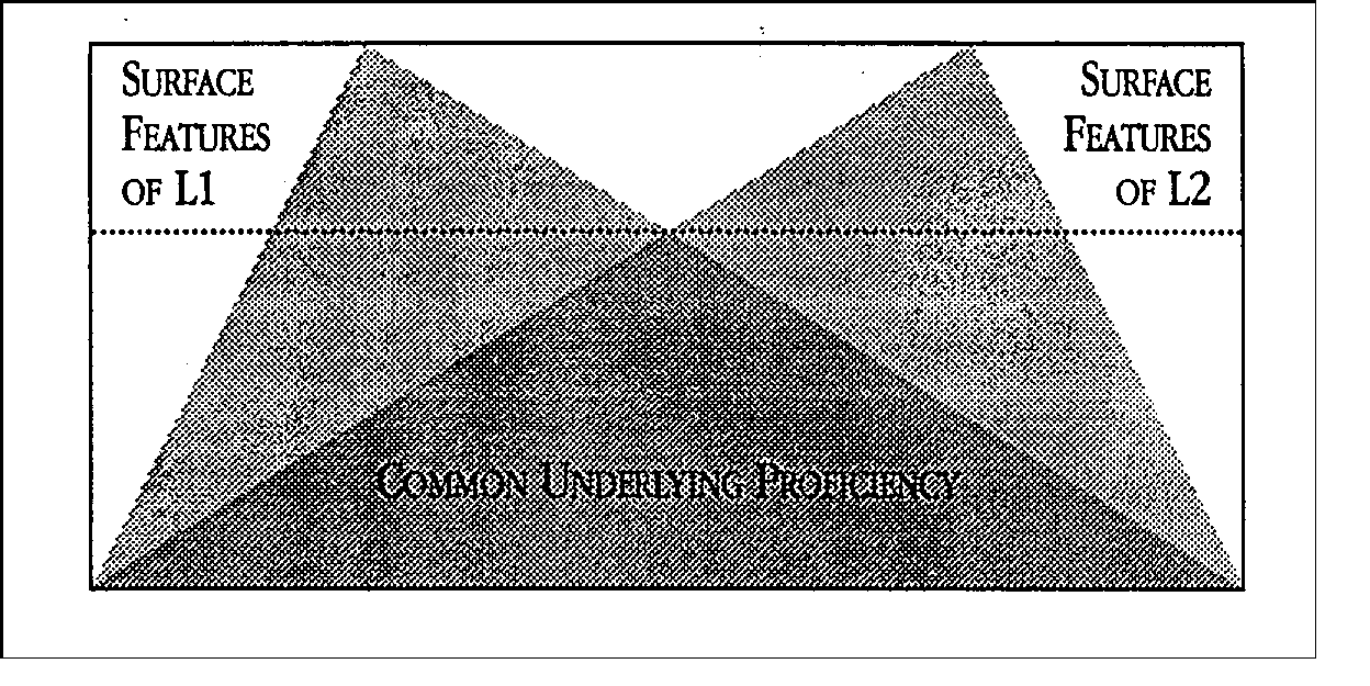 Dual Iceberg Model Reiss.pptx on emaze