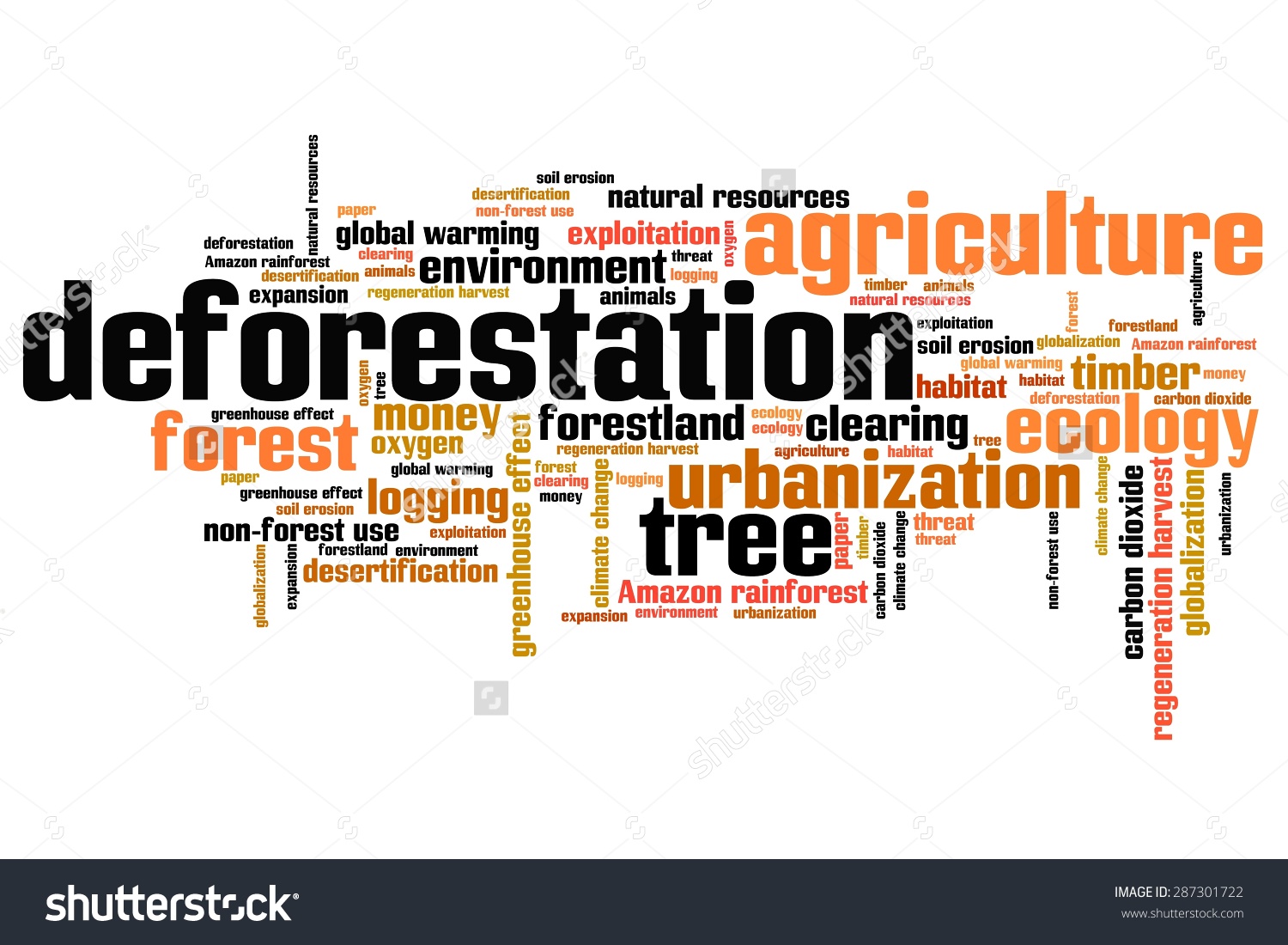 Where does deforestation occur?