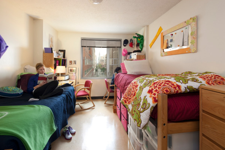 Dorm Campus Student Nyu Stanford University Accommodation Options Internati...