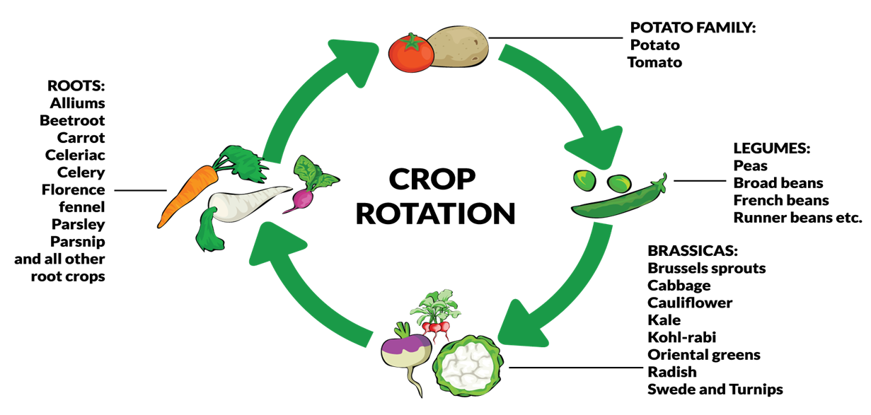 Agriculture at emaze Presentation