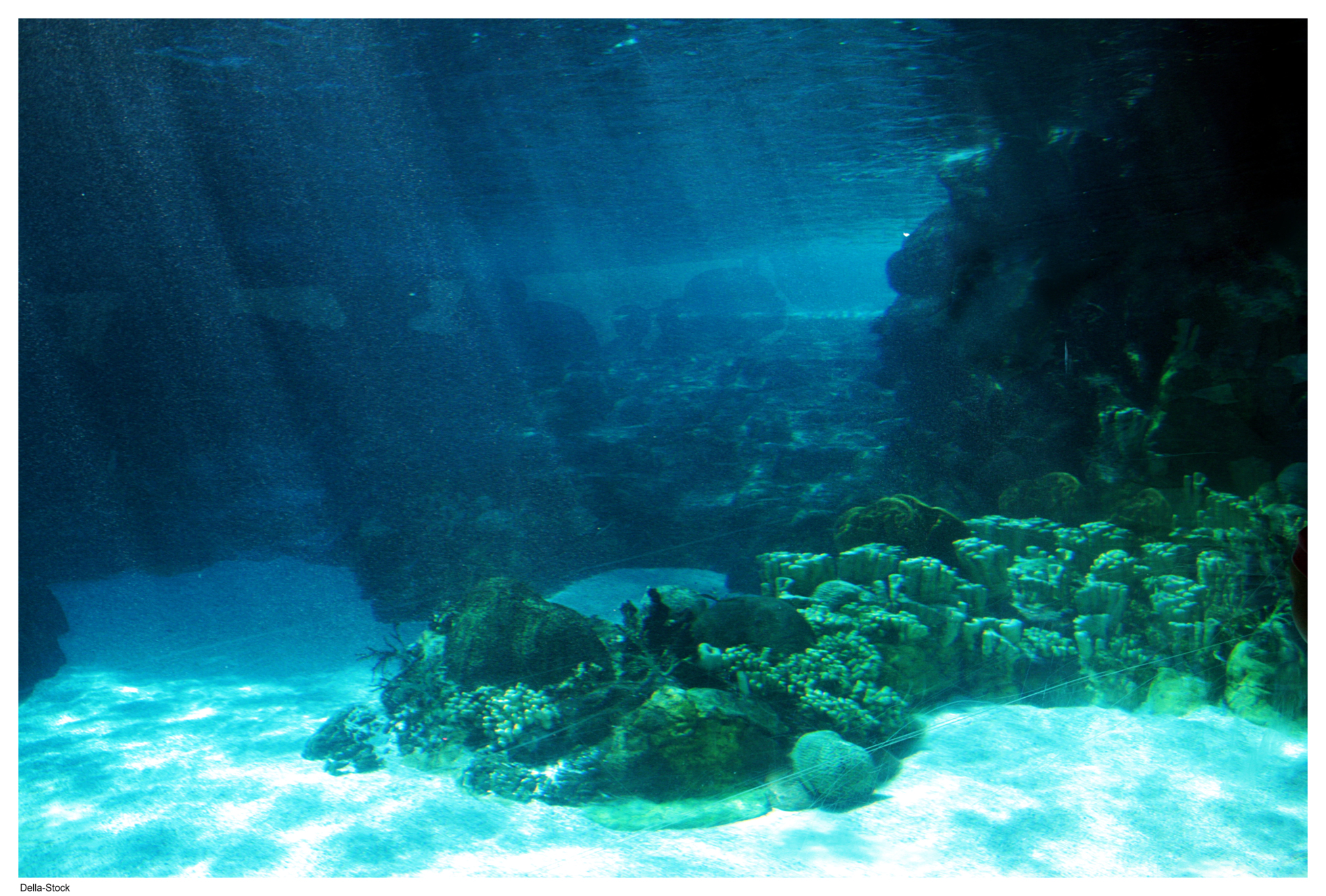 side view of the ocean floor