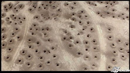 Holes By Asjagdev On Emaze Holes By Asjagdev On Emaze