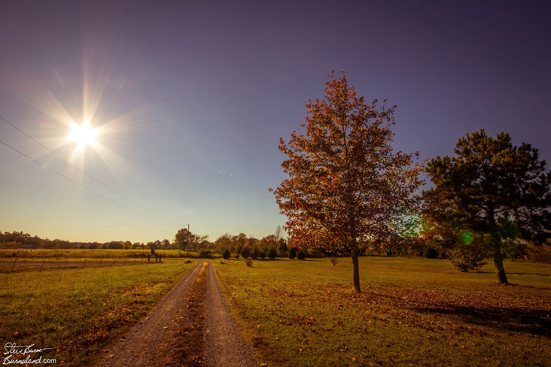 Finding afternoon. Afternoon. Aftermoon. Afternoon picture. Afternoon longer Night.