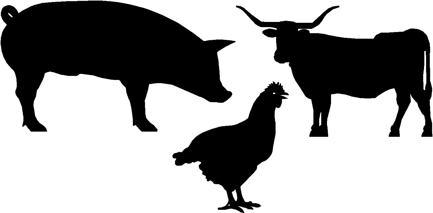 сельскохозяйственные животные. корова домашнее животное. домашние животные монохром. тест корова курица. коровы свиньи куры.