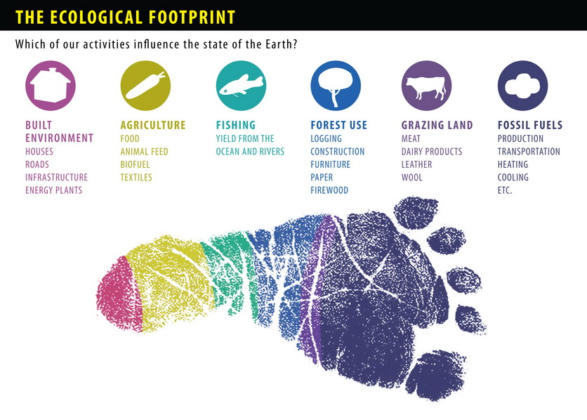 Рисунок экологический след человека. Ecological footprint. Ecological footprint criticizes. Экологический логотип. Ecological footprint магнитогорск.