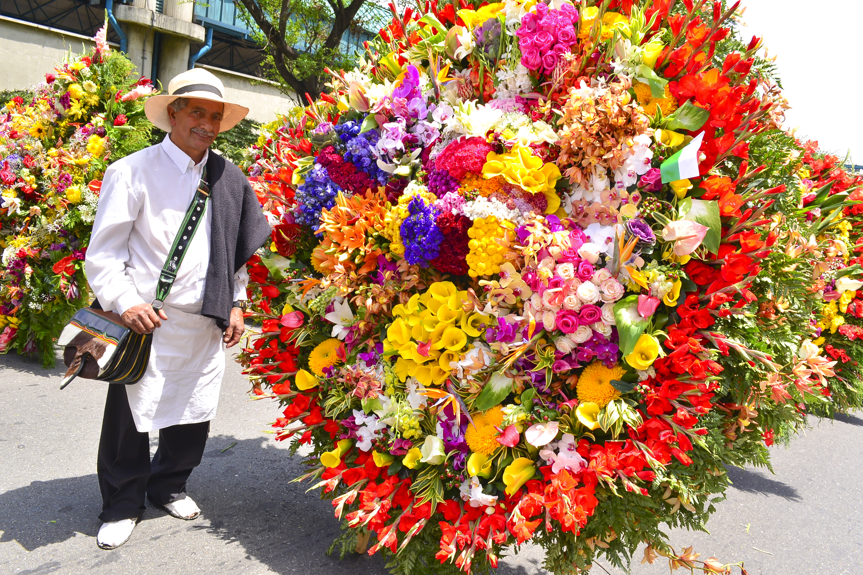 Цветы колумбии и их