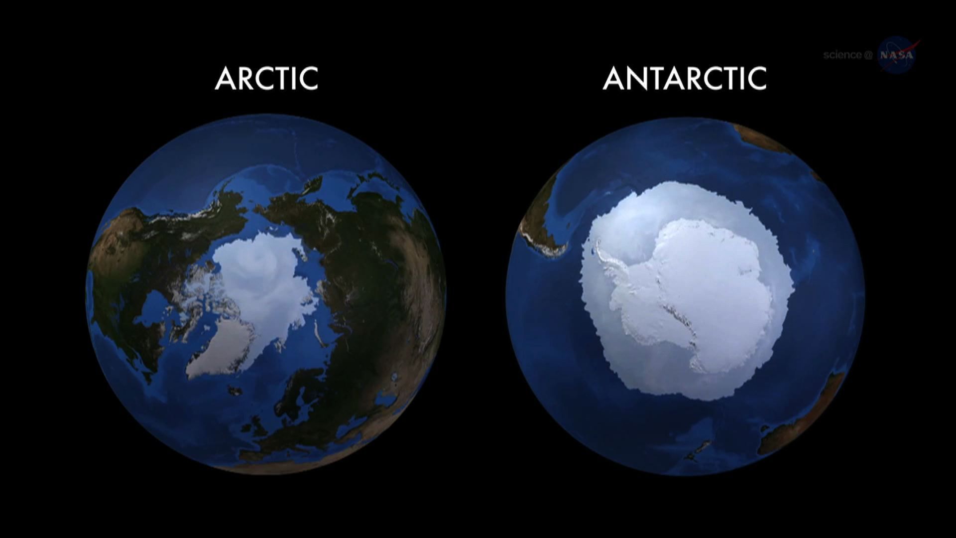 Чем отличается антарктида. Арктика и Антарктида. Северный полюс Антарктика. Арктика и Антарктида на глобусе. Земной шар Арктика и Антарктика.