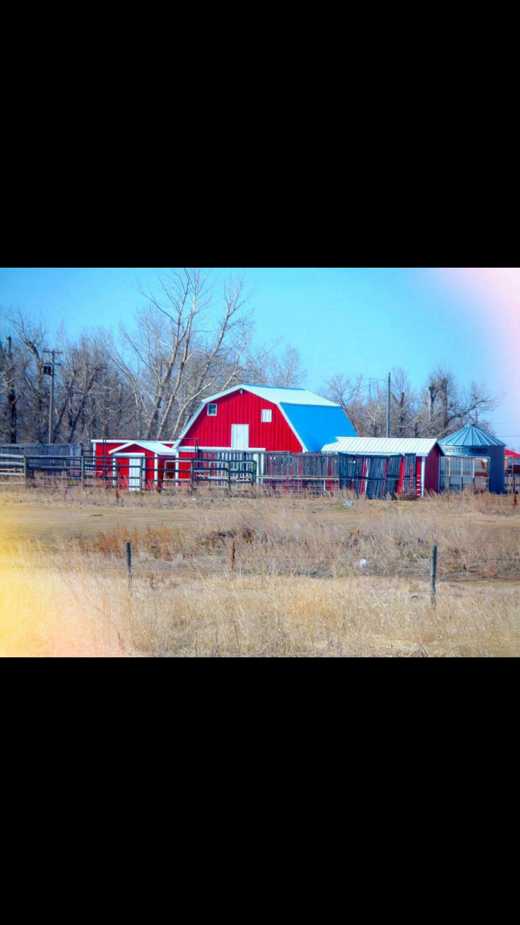 Untitled at emaze Photo Album