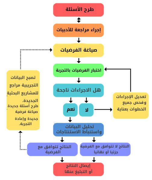 قاعدة طبيعية تجمع مشاهدات مترابطة لوصف ظاهرة طبيعية