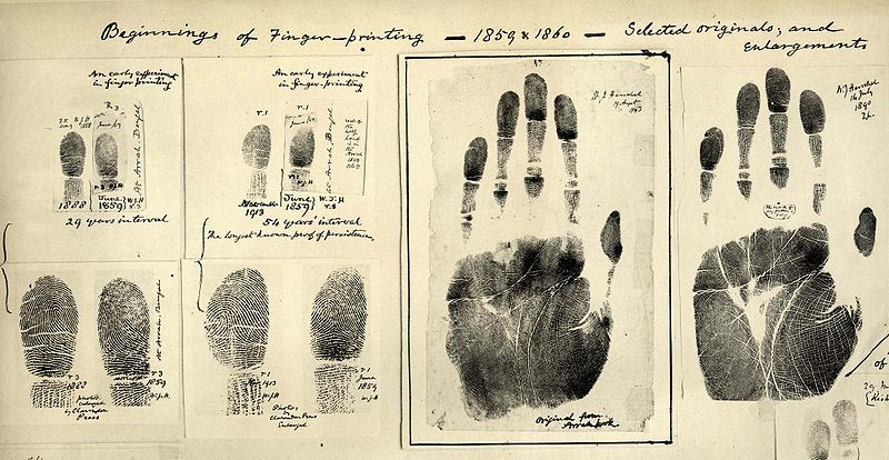 FORENSIC SCIENCE at emaze Presentation