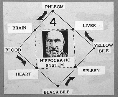 From Hippocrates on emaze