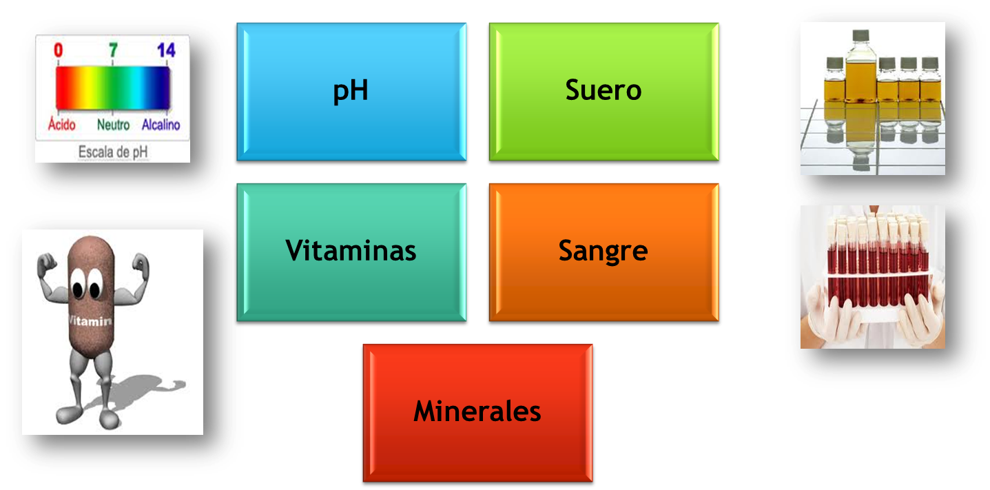 Medios De Cultivos 1 On Emaze